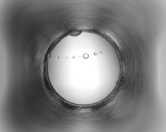 X0000093610491200710151018