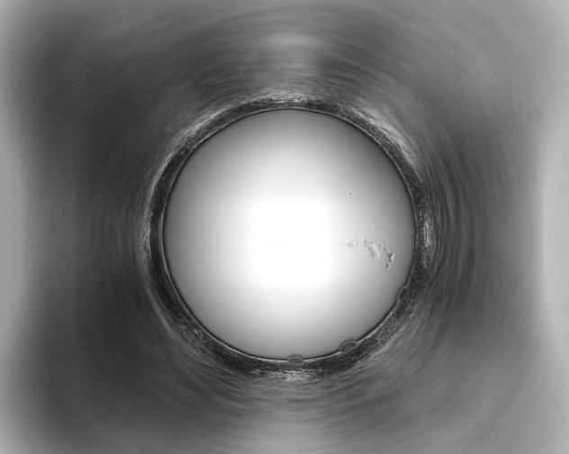 X0000093610492200710151018