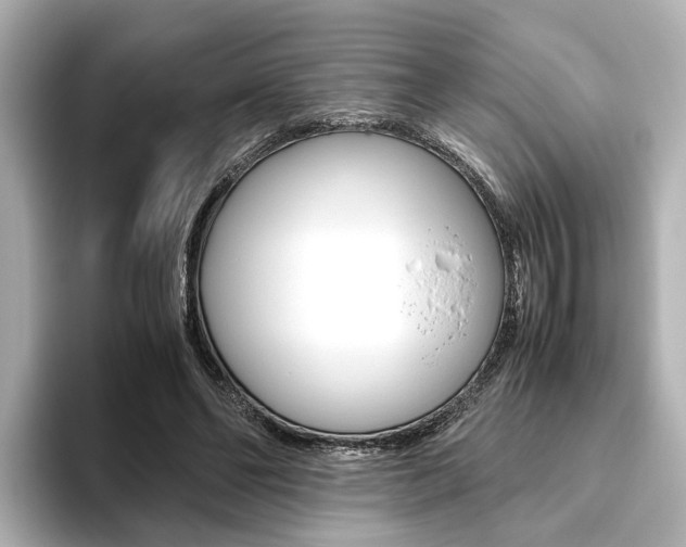 X0000093610494200710151018