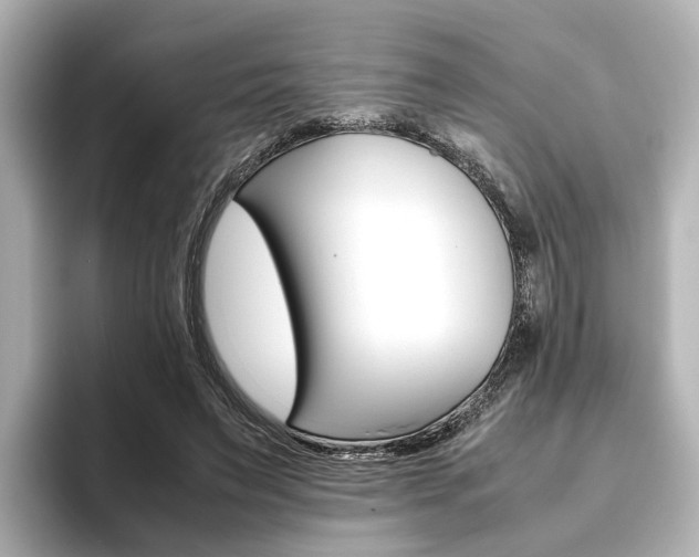 X0000093610495200710151018