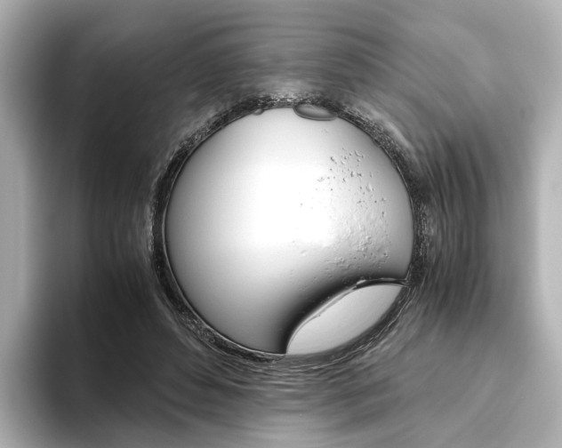 X0000093610496200710151018