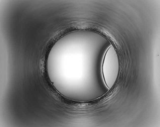 X0000093610497200710151018