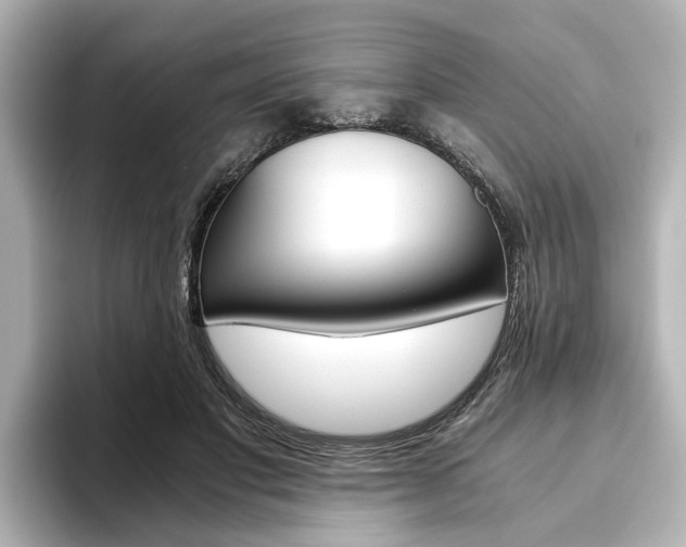 X0000093610501200710151018
