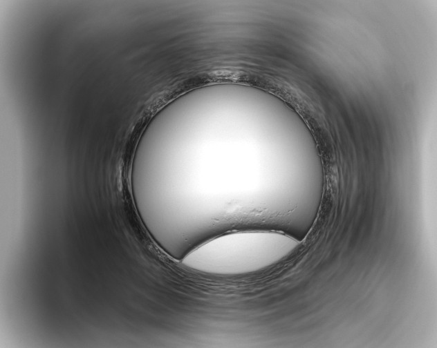 X0000093610504200710151018