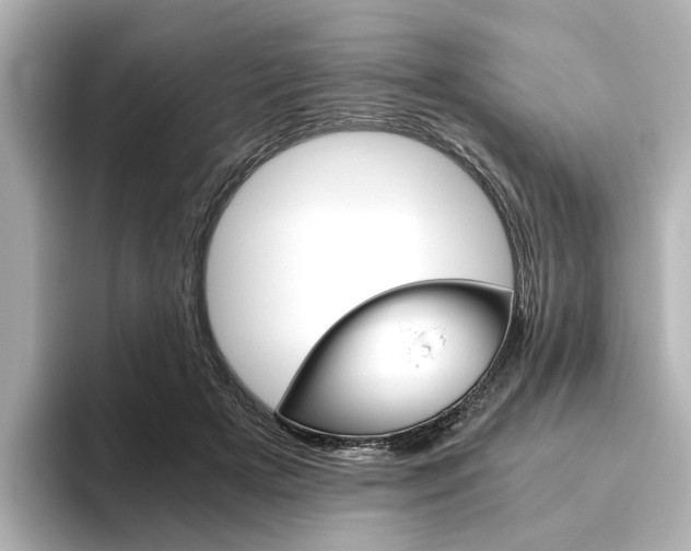 X0000093610505200710151018