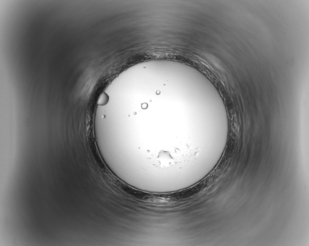 X0000093610507200710151018