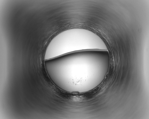 X0000093610508200710151018