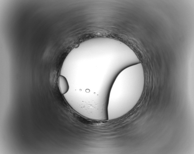 X0000093610511200710151018