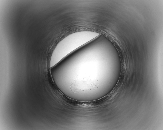 X0000093610512200710151018