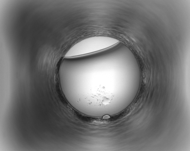 X0000093610515200710151018