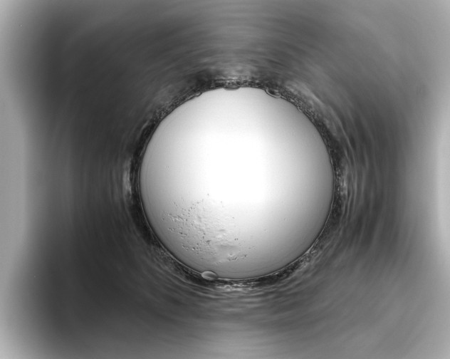 X0000093610516200710151018