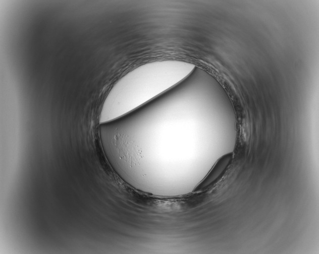X0000093610520200710151018