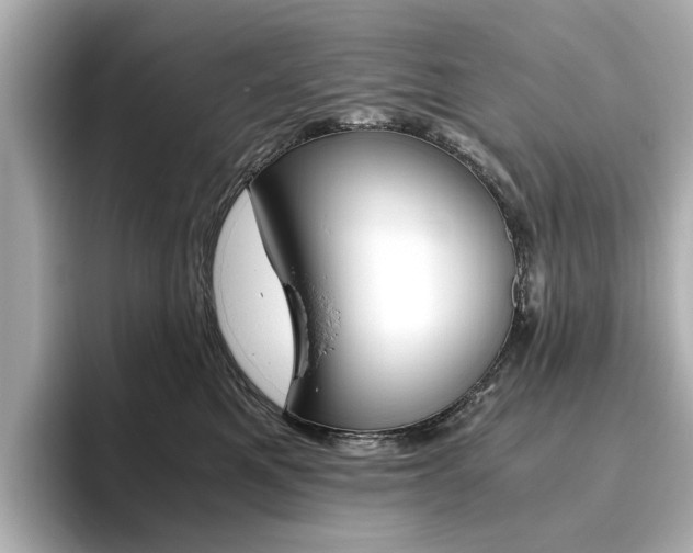 X0000093610521200710151018