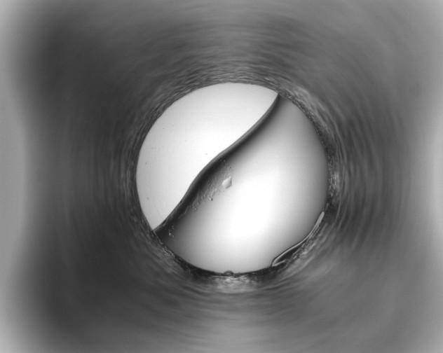 X0000093610525200710151018