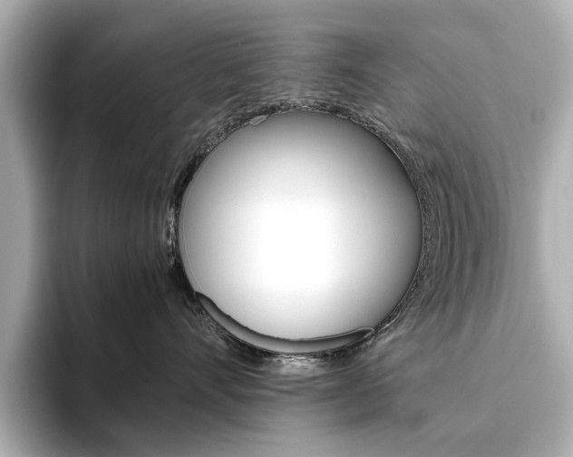 X0000093610528200710151018