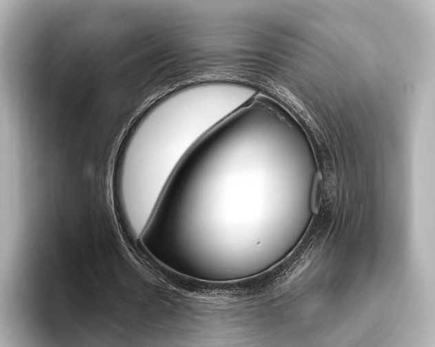 X0000093610530200710151017
