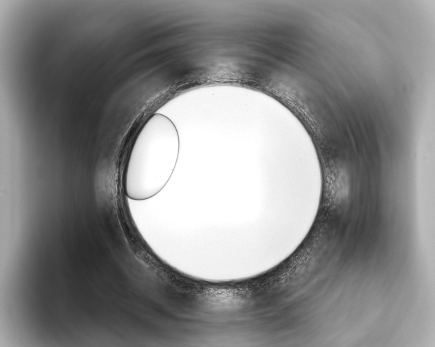 X0000093610534200710151018