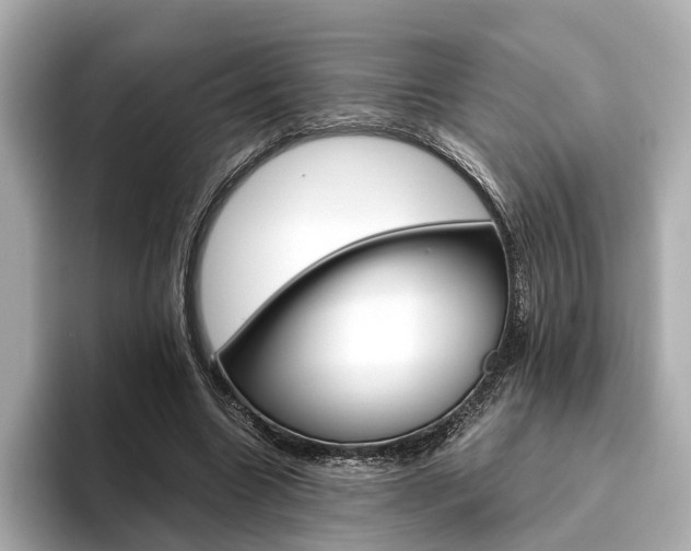 X0000093610538200710151018