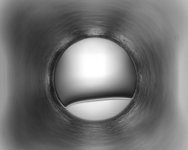 X0000093610539200710151018