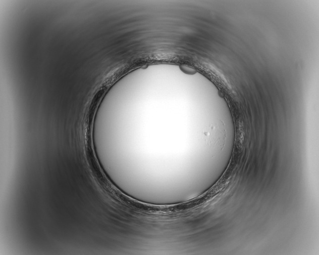 X0000093610542200710151018