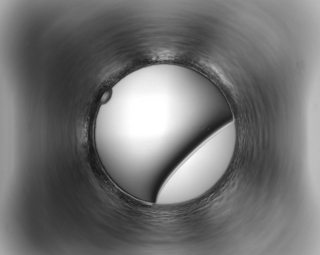 X0000093610543200710151018