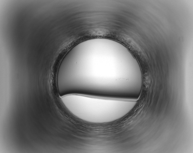 X0000093610544200710151018