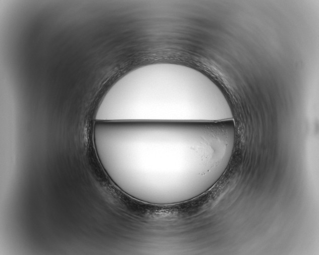X0000093610546200710151018
