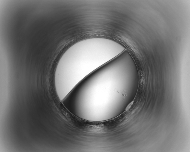 X0000093610548200710151018