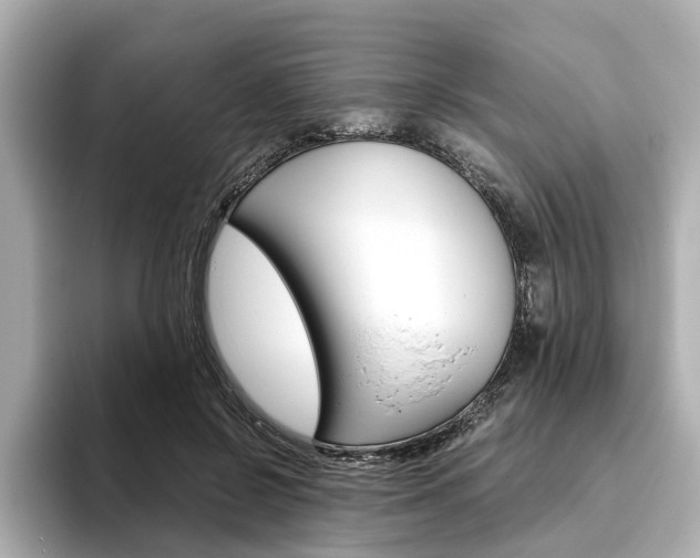X0000093610550200710151018