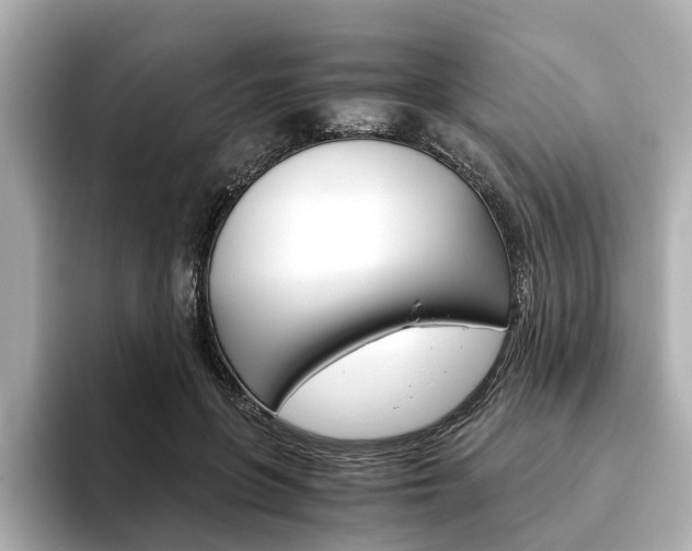 X0000093610551200710151018