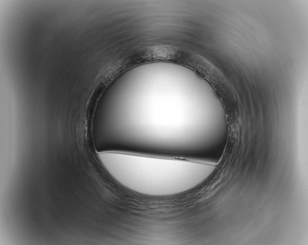 X0000093610552200710151018