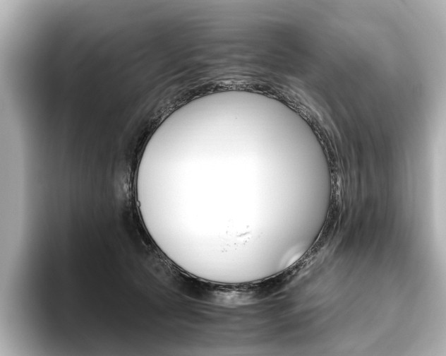 X0000093610561200710151018