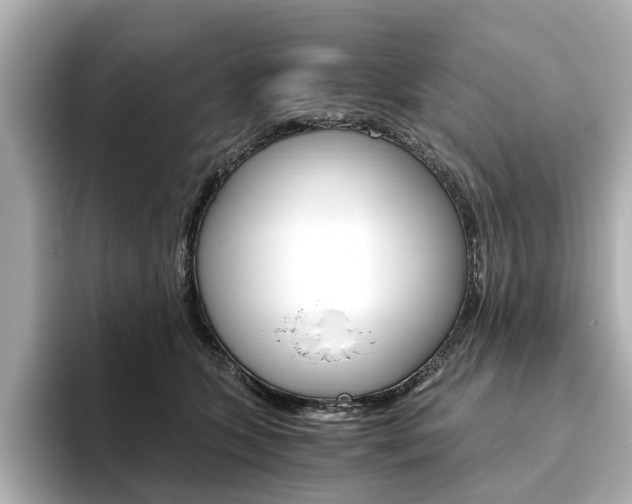X0000093610563200710151018