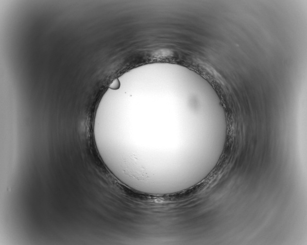 X0000093610565200710151018