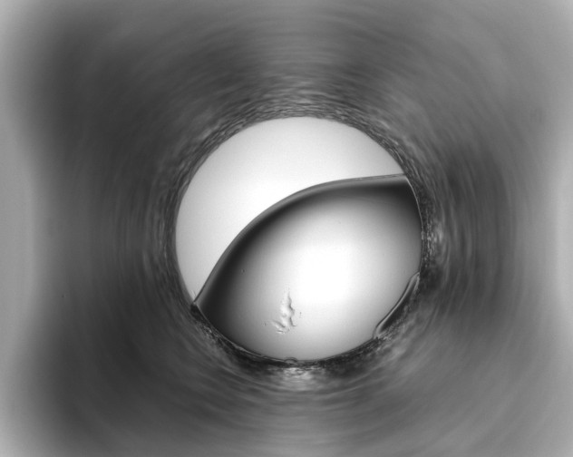 X0000093610566200710151018