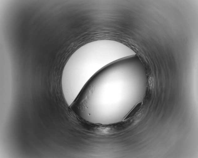 X0000093610570200710151018