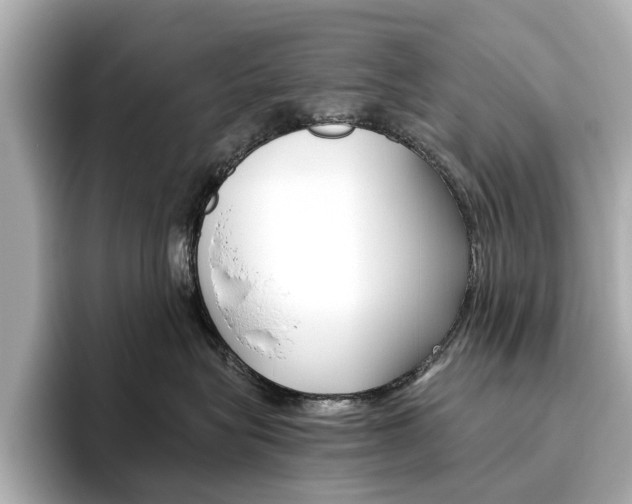 X0000093610575200710151018