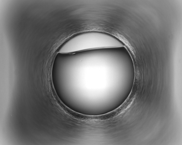 X0000093610577200710151017