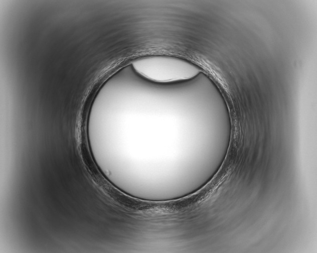 X0000093610578200710151017