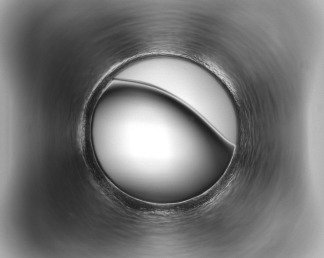 X0000093610580200710151017