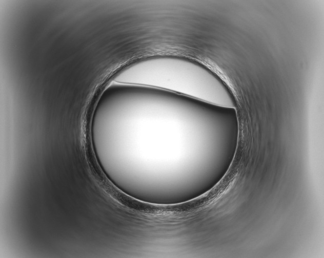 X0000093610581200710151017
