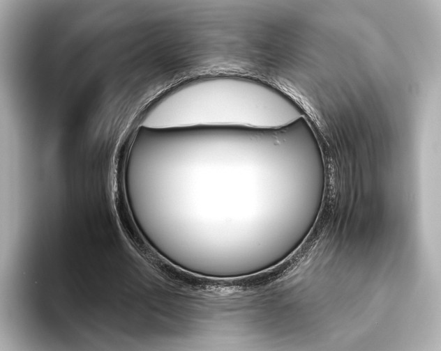 X0000093610582200710151017