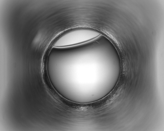 X0000093610584200710151017
