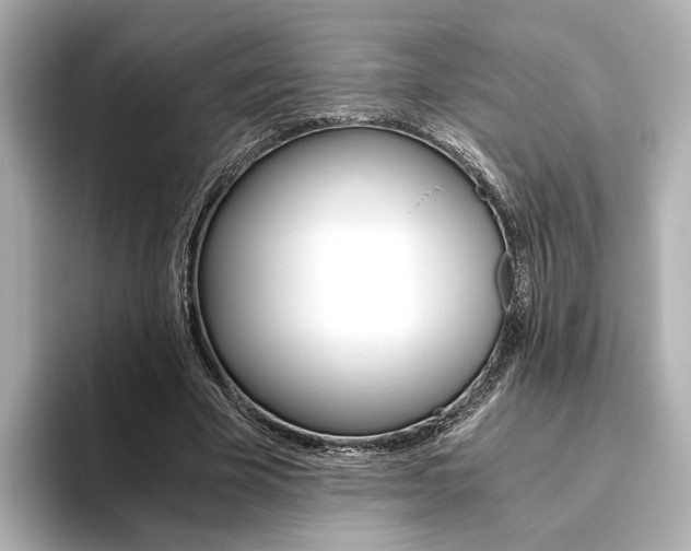 X0000093610585200710151017