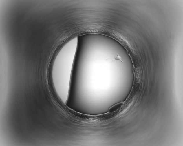 X0000093610589200710151017