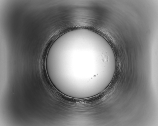 X0000093610591200710151017