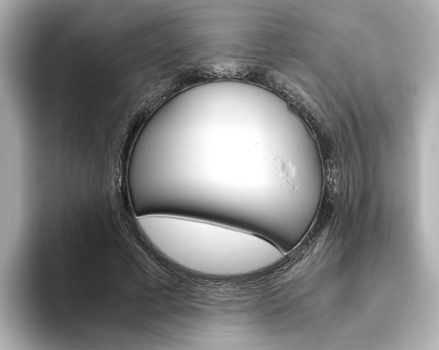 X0000093610593200710151017