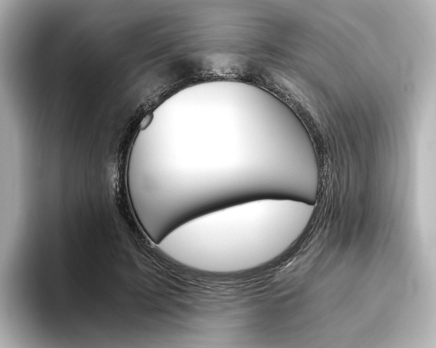X0000093610595200710151017
