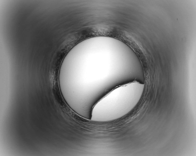 X0000093610599200710151017