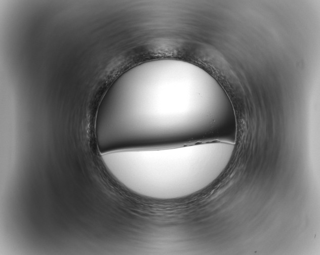 X0000093610600200710151017